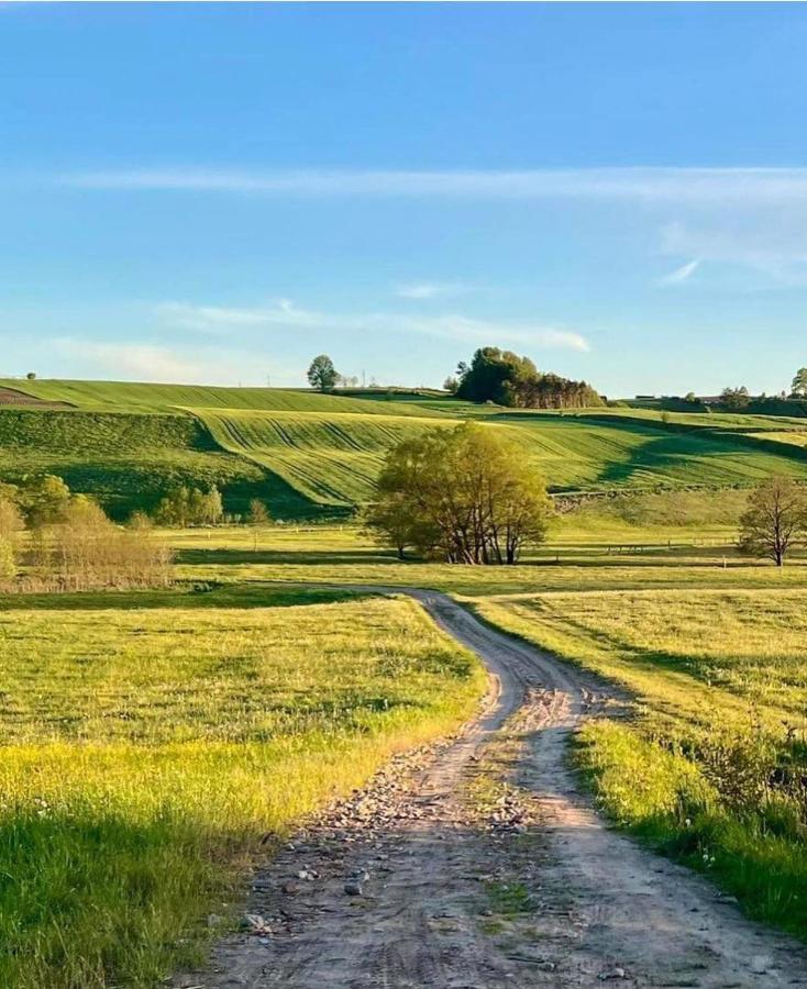 Domek Matylda- Kaszuby Villa Nowe Czaple  Dış mekan fotoğraf