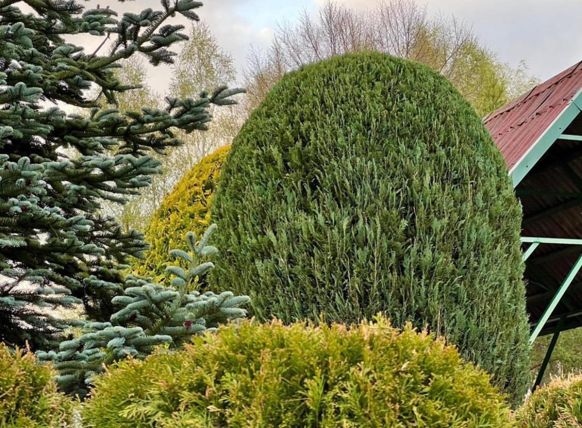 Domek Matylda- Kaszuby Villa Nowe Czaple  Dış mekan fotoğraf