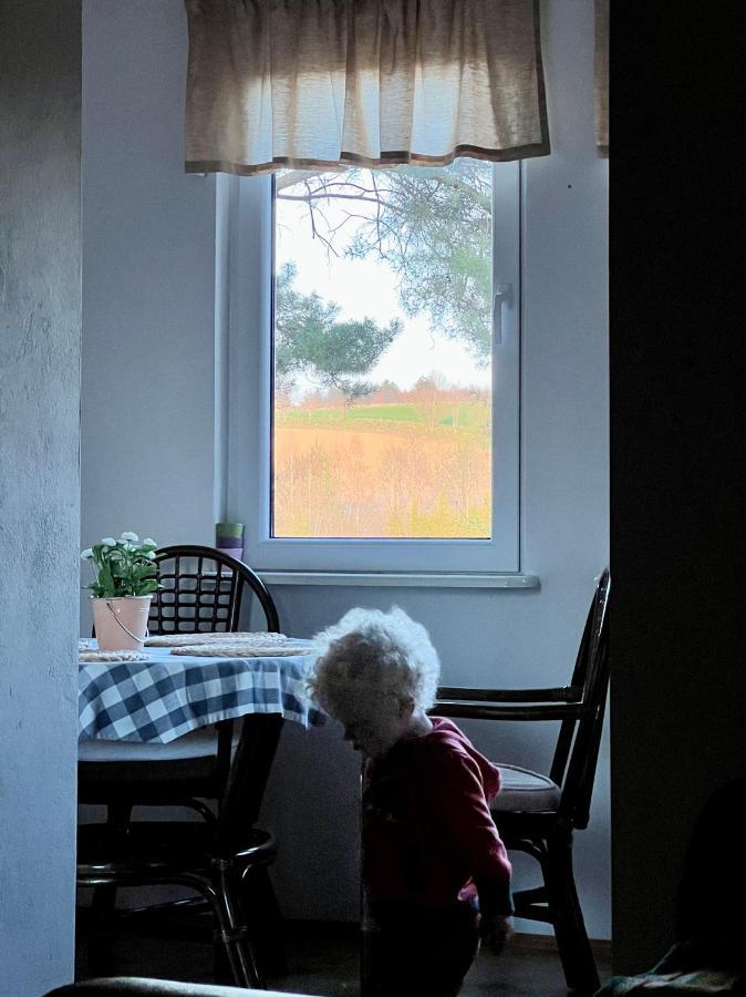 Domek Matylda- Kaszuby Villa Nowe Czaple  Dış mekan fotoğraf