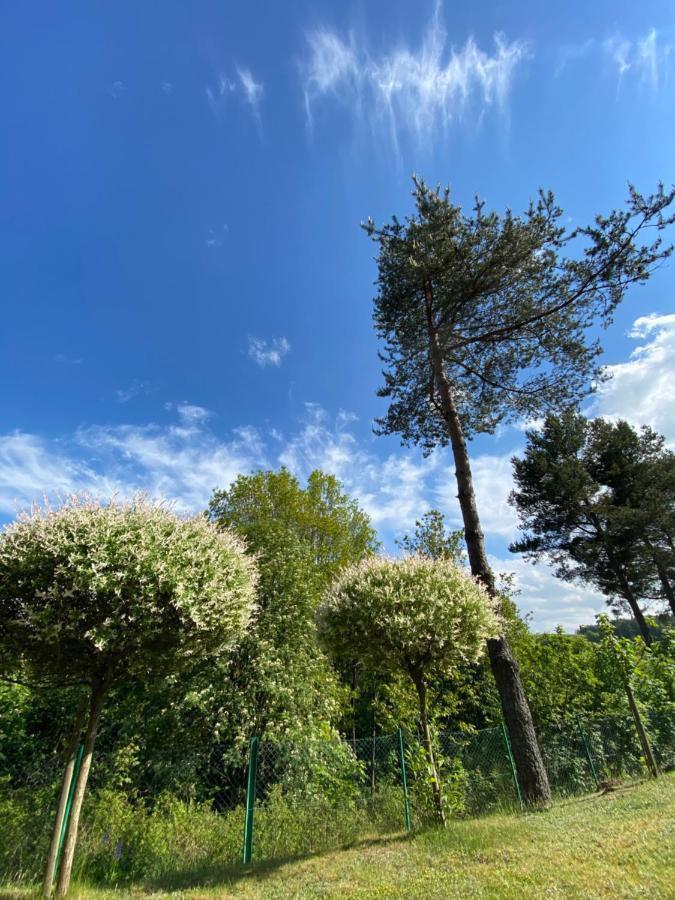 Domek Matylda- Kaszuby Villa Nowe Czaple  Dış mekan fotoğraf